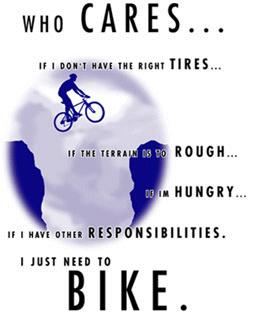 I Just Need to Bike